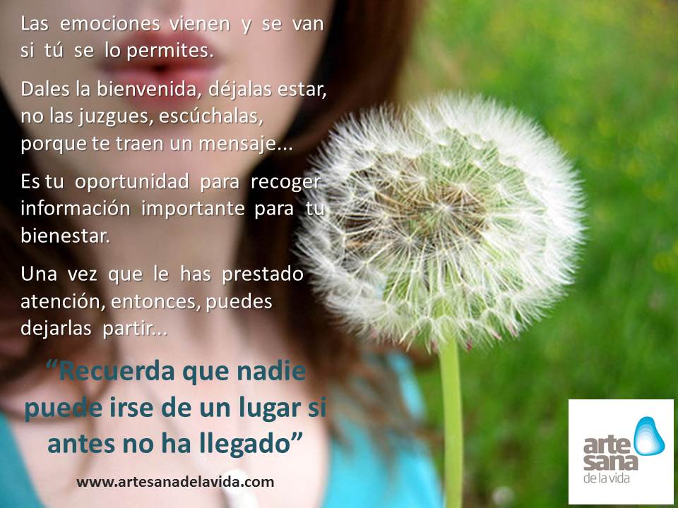 las emociones vienen y se van